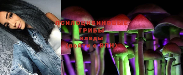 гашик Богородицк