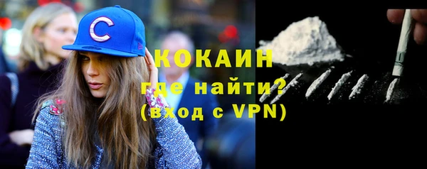дмт Богородск