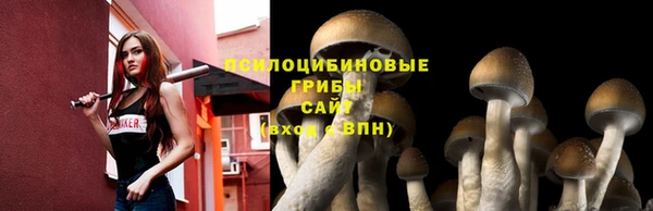 дмт Богородск