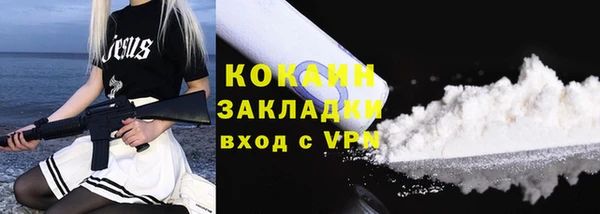 дмт Богородск