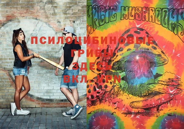 ГАЛЛЮЦИНОГЕННЫЕ ГРИБЫ Богданович