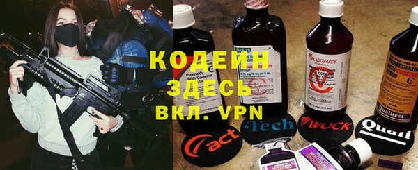 ГАЛЛЮЦИНОГЕННЫЕ ГРИБЫ Богданович