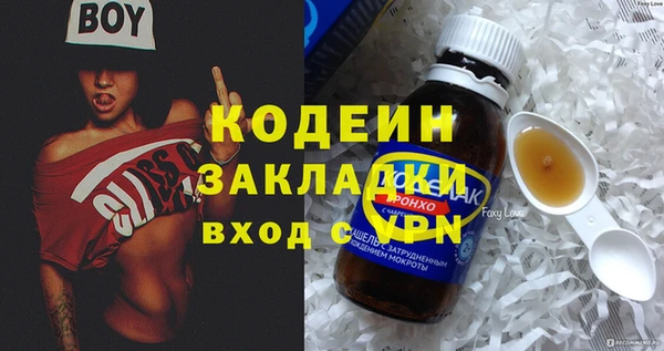 ГАЛЛЮЦИНОГЕННЫЕ ГРИБЫ Богданович