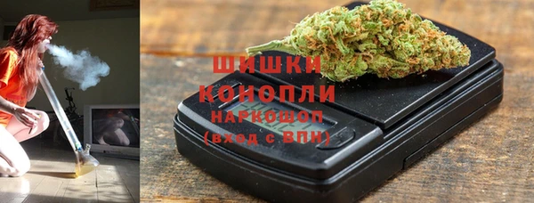 ГАЛЛЮЦИНОГЕННЫЕ ГРИБЫ Богданович