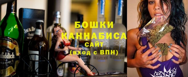 ГАЛЛЮЦИНОГЕННЫЕ ГРИБЫ Богданович