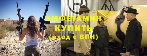 ГАЛЛЮЦИНОГЕННЫЕ ГРИБЫ Богданович