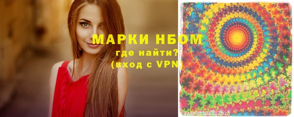 ГАЛЛЮЦИНОГЕННЫЕ ГРИБЫ Богданович