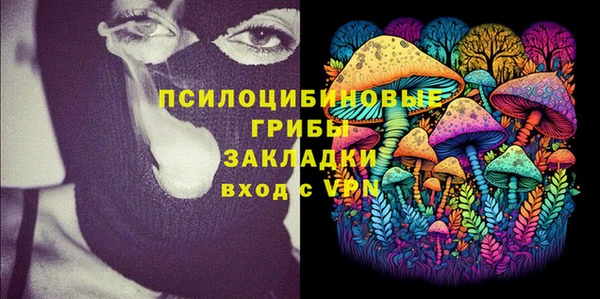 ГАЛЛЮЦИНОГЕННЫЕ ГРИБЫ Богданович