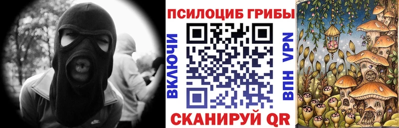 Галлюциногенные грибы GOLDEN TEACHER  Купить где  Суворов 
